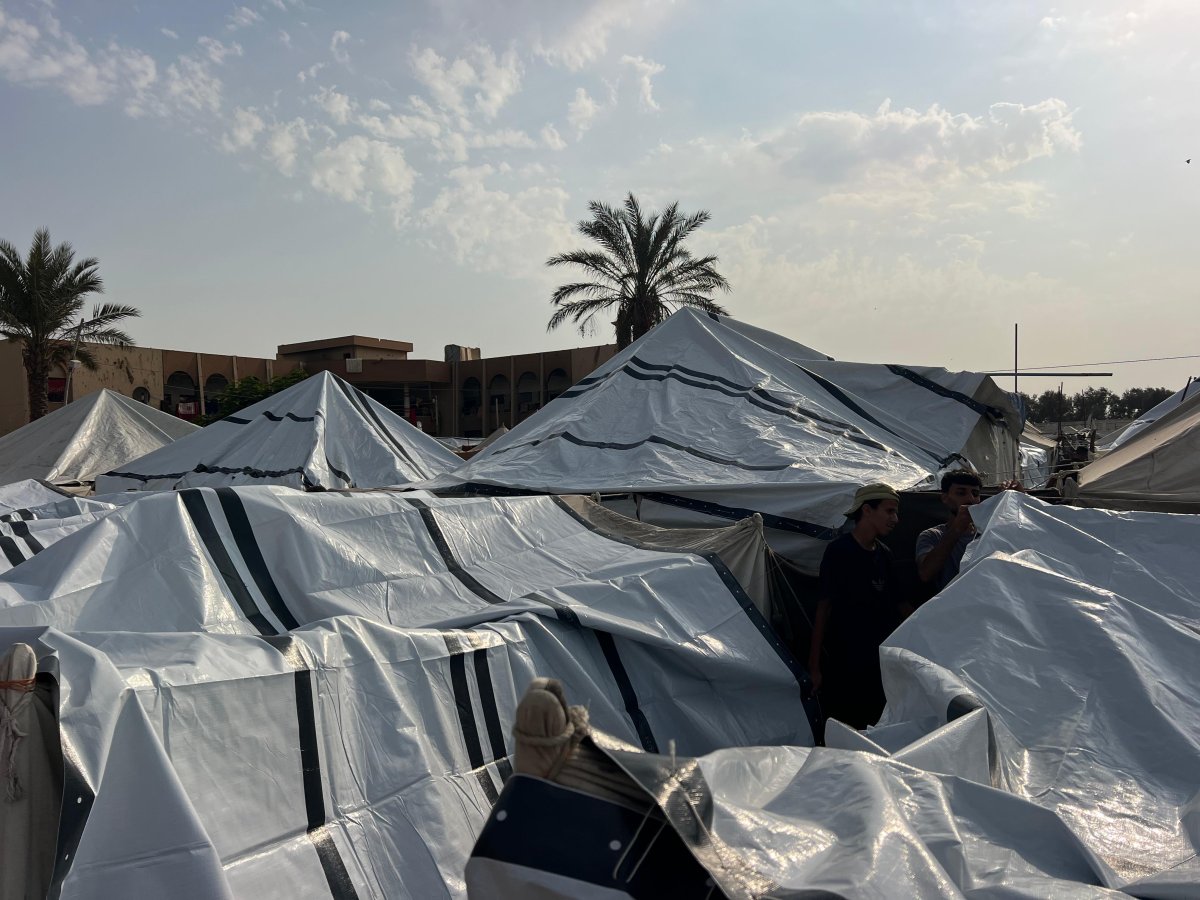 اللجنة المصرية تتعاون مع "اليونيسف" لتوزيع شوادر بلاستيكية في شمال قطاع غزة لحماية سكان الخيام من برد الشتاء