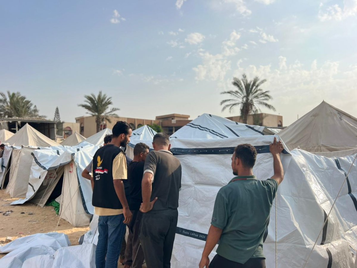 اللجنة المصرية تتعاون مع "اليونيسف" لتوزيع شوادر بلاستيكية في شمال قطاع غزة لحماية سكان الخيام من برد الشتاء