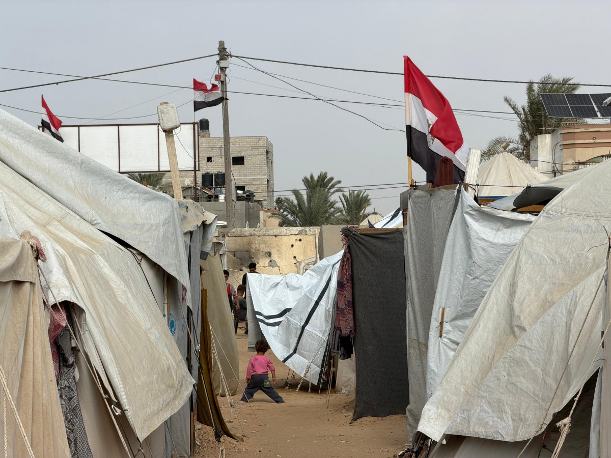 اللجنة المصرية تتعاون مع "اليونيسف" لتوزيع شوادر بلاستيكية في شمال قطاع غزة لحماية سكان الخيام من برد الشتاء