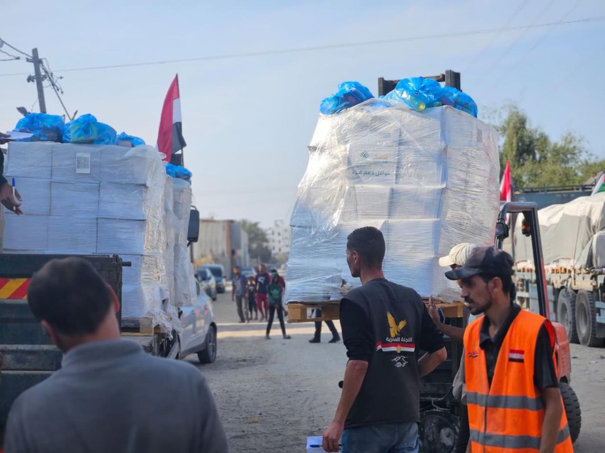 اللجنة المصرية تُطلق حملة "قلوب تتحدى الحدود" لتوزيع عشرات الآلاف من المساعدات الإنسانية في قطاع غزة