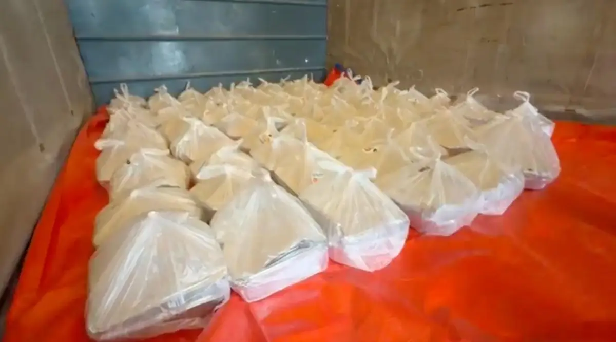 اللجنة المصرية وبالتعاون مع المطبخ المركزي العالمي تواصل دعمها لغزة وتوزّع آلاف الوجبات الغذائية على المتضررين