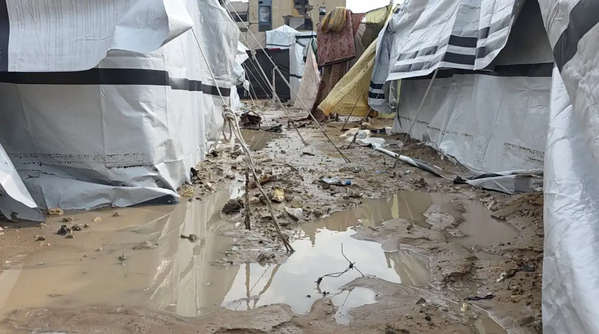 جهود اللجنة المصرية خلال المنخفض الجوي الأخير