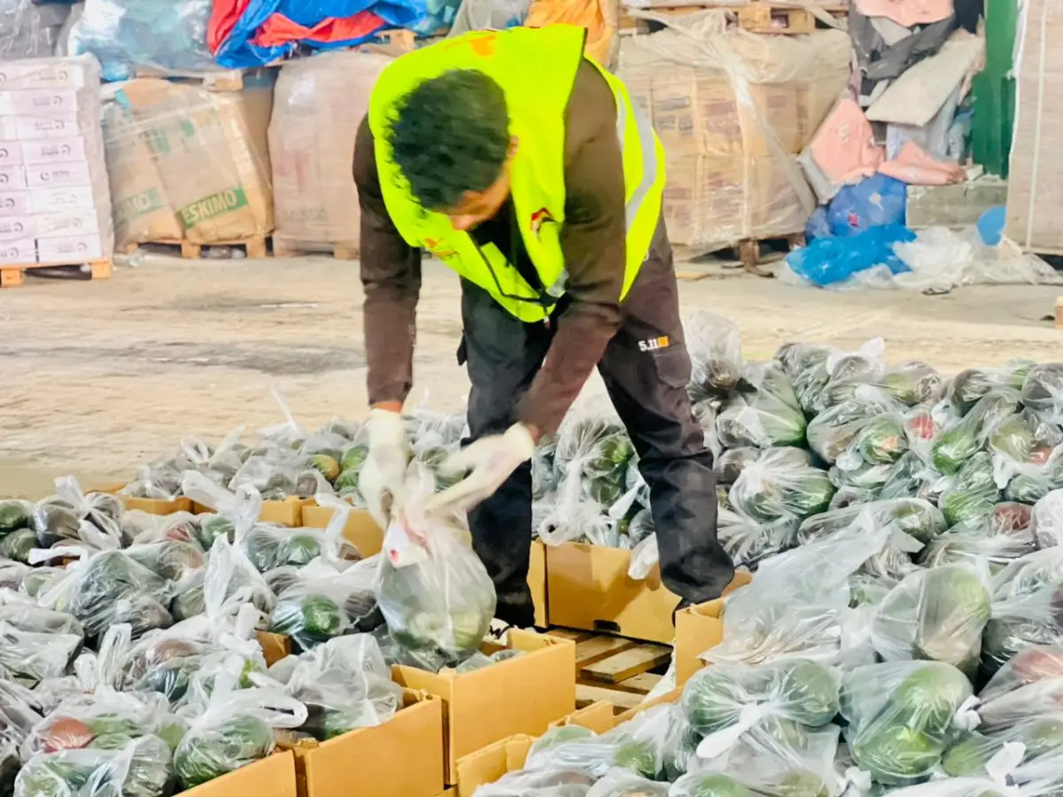 اللجنة المصرية بالتعاون مع المطبخ العالمي توزع ثمار الأفوكادو على عدد من المخيمات المصرية ومخيمات النزوح