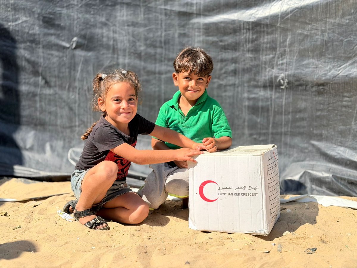 The Egyptian Committee for the Relief of the People of Gaza Cooperates with the Egyptian Red Crescent to Enhance Humanitarian Support