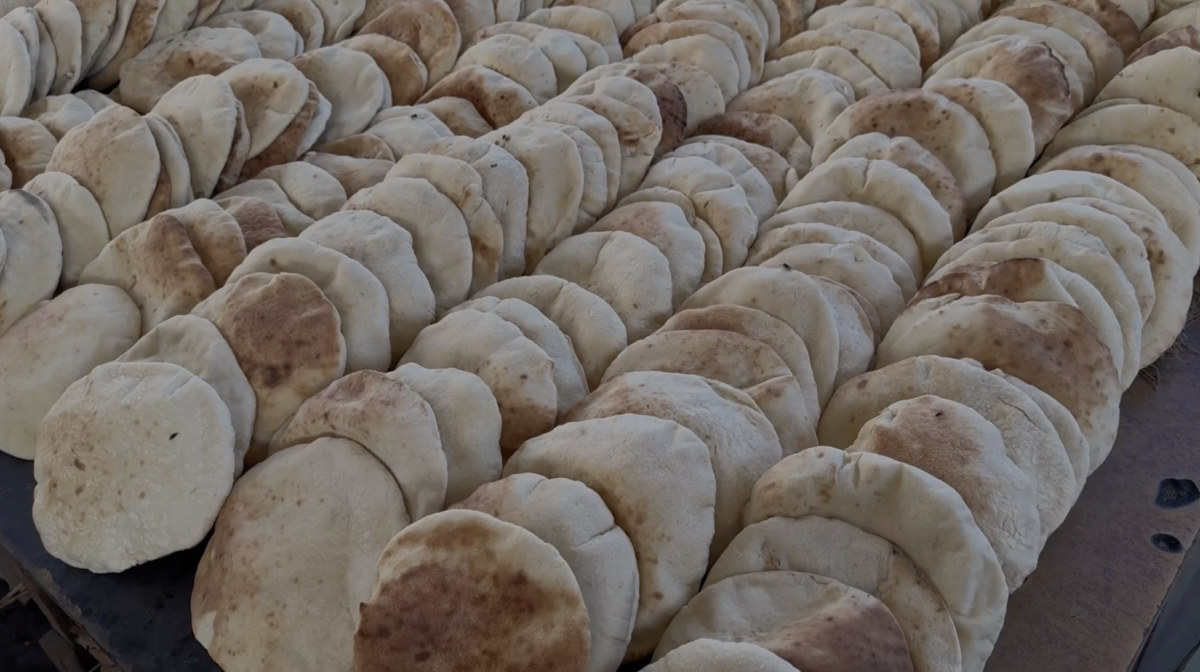The Egyptian Committee Distributes Ten Million Loaves of Bread Across Gaza