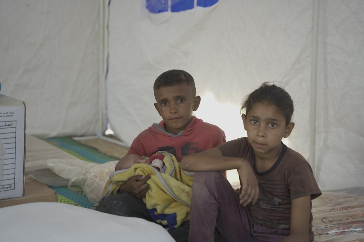 The Egyptian Committee Launches the “Hearts Beyond Borders” Campaign to Distribute Tens of Thousands of Humanitarian Aid Packages in Gaza