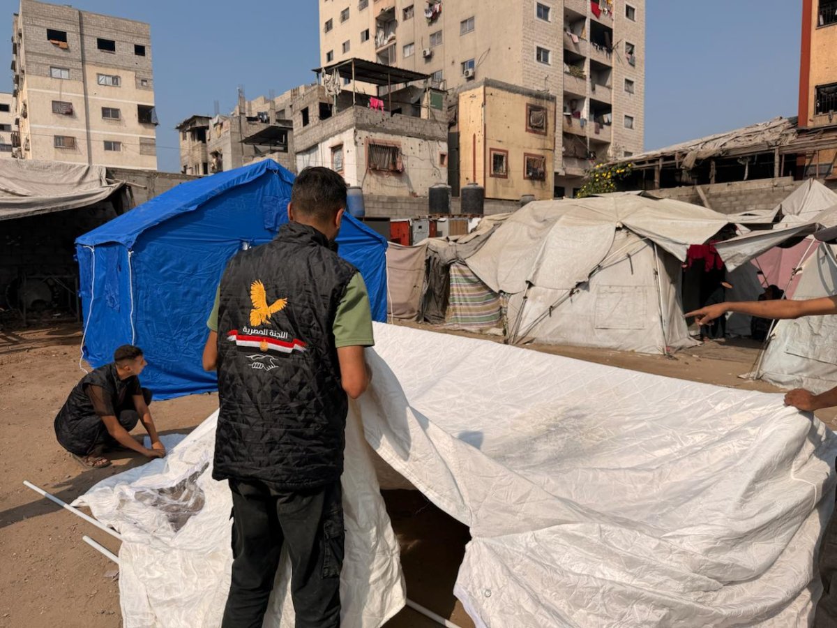 The Egyptian Committee Launches the “Hearts Beyond Borders” Campaign to Distribute Tens of Thousands of Humanitarian Aid Packages in Gaza