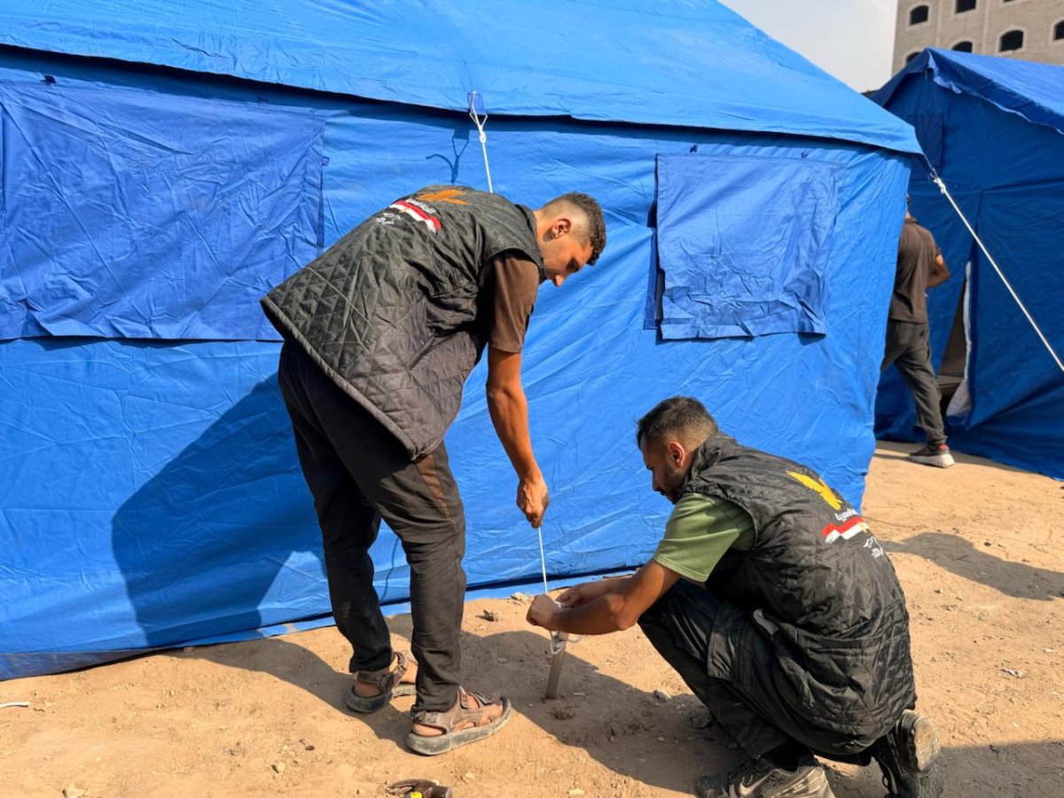 The Egyptian Committee Launches the “Hearts Beyond Borders” Campaign to Distribute Tens of Thousands of Humanitarian Aid Packages in Gaza