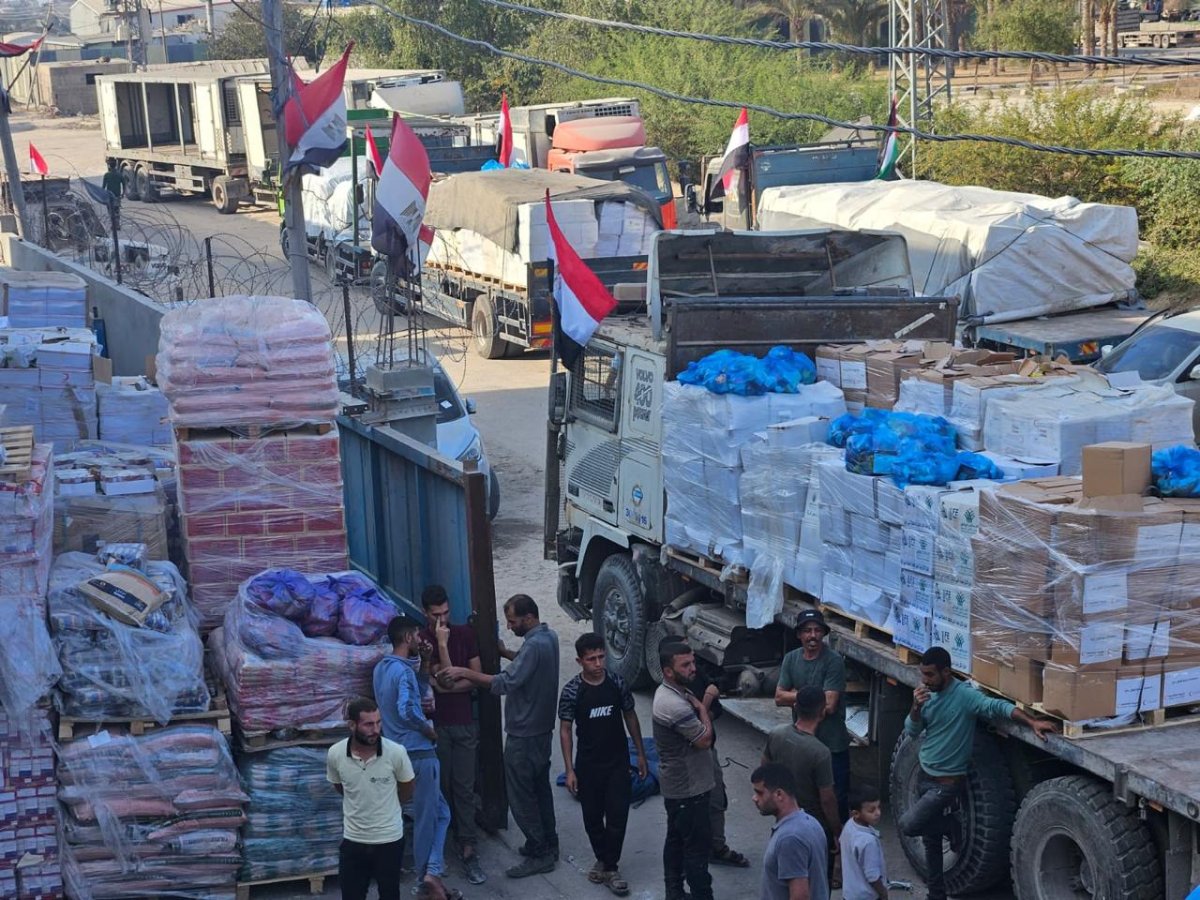 The Egyptian Committee Launches the “Hearts Beyond Borders” Campaign to Distribute Tens of Thousands of Humanitarian Aid Packages in Gaza