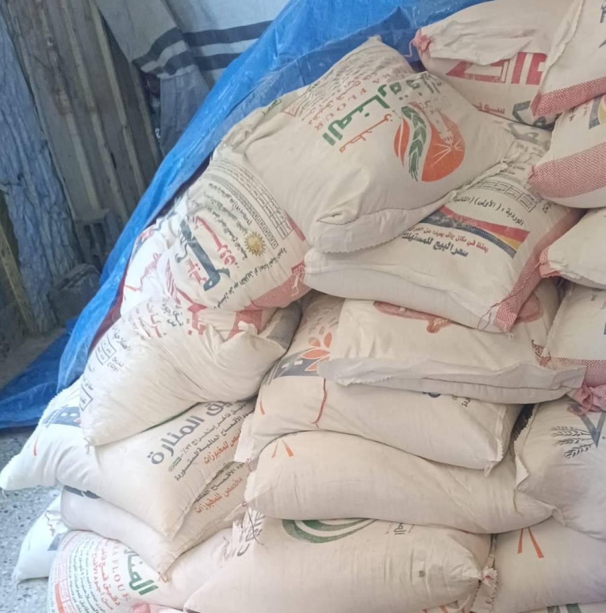 Egyptian Committee Dispatches Additional Relief Trucks to Gaza: Distributes Thousands of Flour Bags to Families in Need