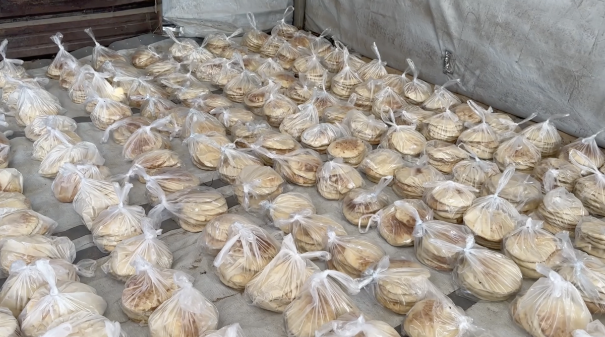 Egyptian Committee Intensifies Emergency Humanitarian Response to Meet Critical Needs in Gaza