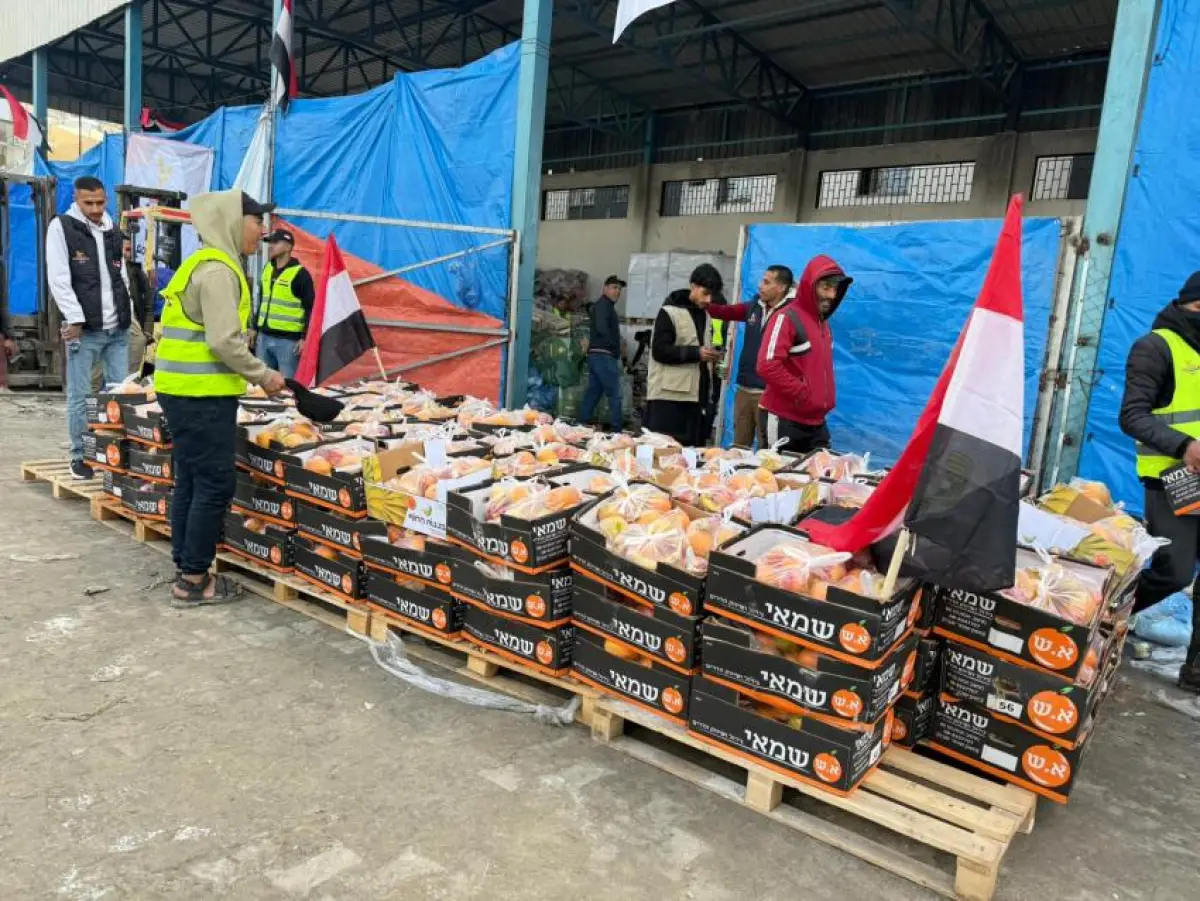 Egyptian Committee Distributes Fresh Fruit to Residents of Al-Maqousi Displacement Sites 12 and 13