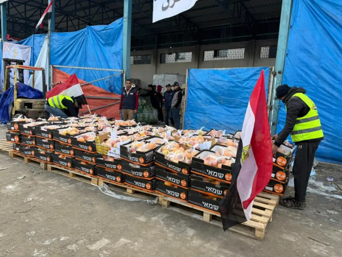 Egyptian Committee Distributes Fresh Fruit to Residents of Al-Maqousi Displacement Sites 12 and 13