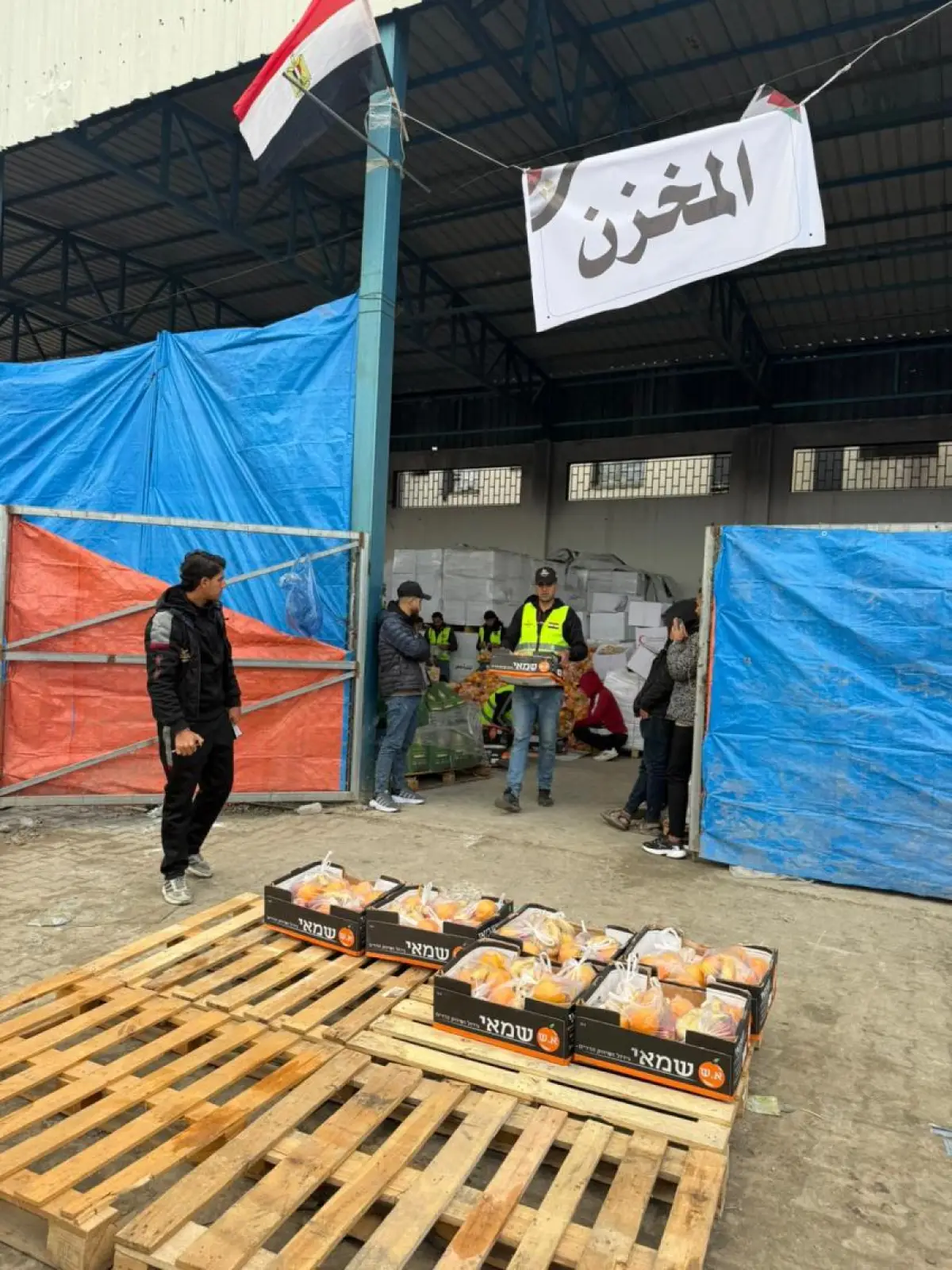 Egyptian Committee Distributes Fresh Fruit to Residents of Al-Maqousi Displacement Sites 12 and 13