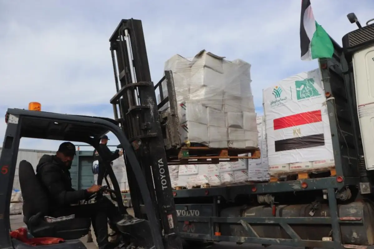 Distribution of Health, Food Parcels, and Household Items in Egyptian Camp (4)