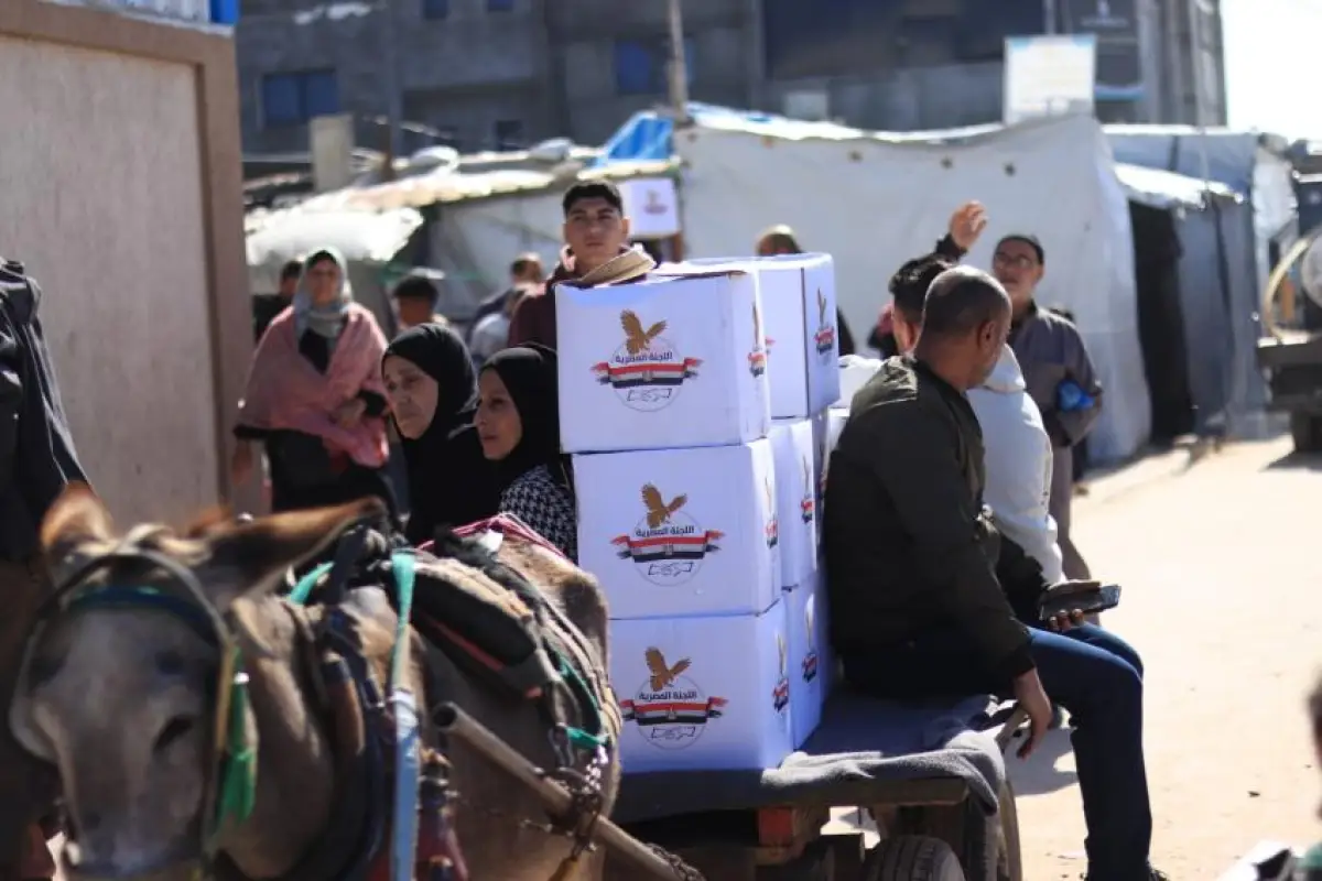 Distribution of food parcels in collaboration with the International Kitchen