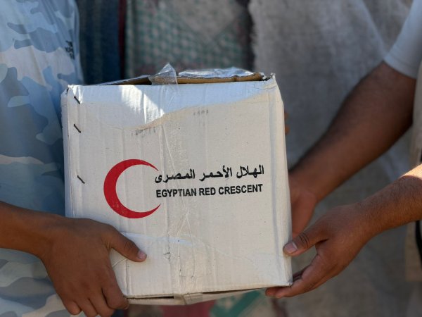 The Egyptian Committee for the Relief of the People of Gaza Cooperates with the Egyptian Red Crescent to Enhance Humanitarian Support