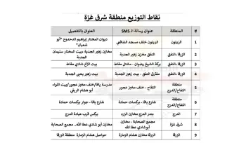 The Egyptian Committee Launches an Unprecedented Humanitarian Intervention Targeting All Residents Without Exception