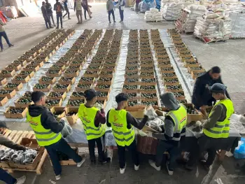 The Egyptian Committee, in Cooperation with World Central Kitchen, Distributes Avocados to Several Egyptian Camps and Displacement Camps